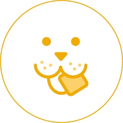 Icon 4