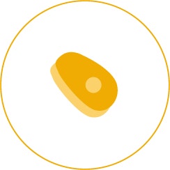 Icon 5