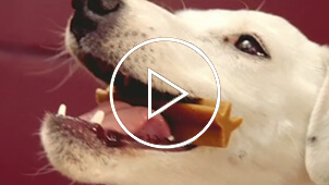 dentastix-video